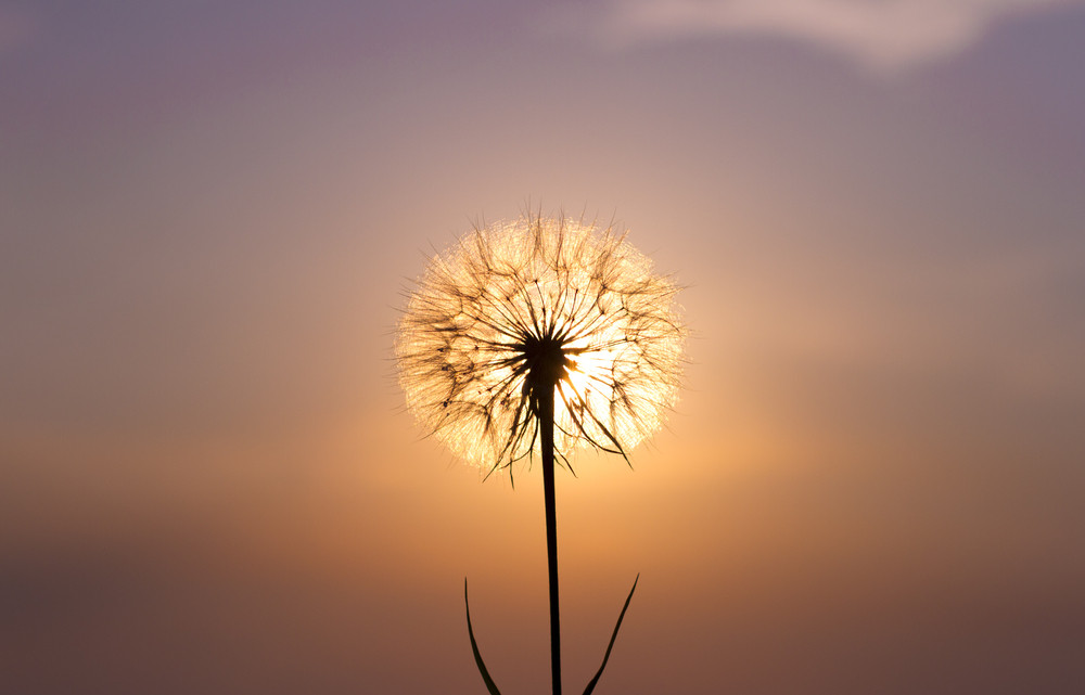 Warum wird gechannelt?: Foto: © DarZel / shutterstock / #152924762